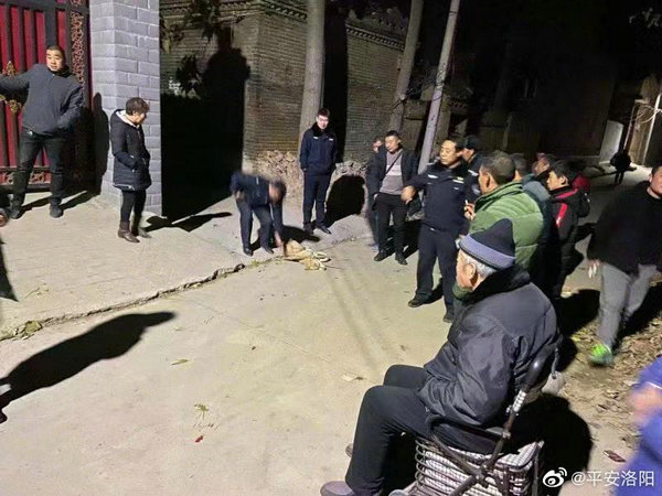 疯狗疯狂“作案” 致四人被咬 民警开枪将其击毙