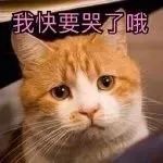惊呆！厦门一男子结扎两次，妻子居然怀孕了！到医院一查发现……