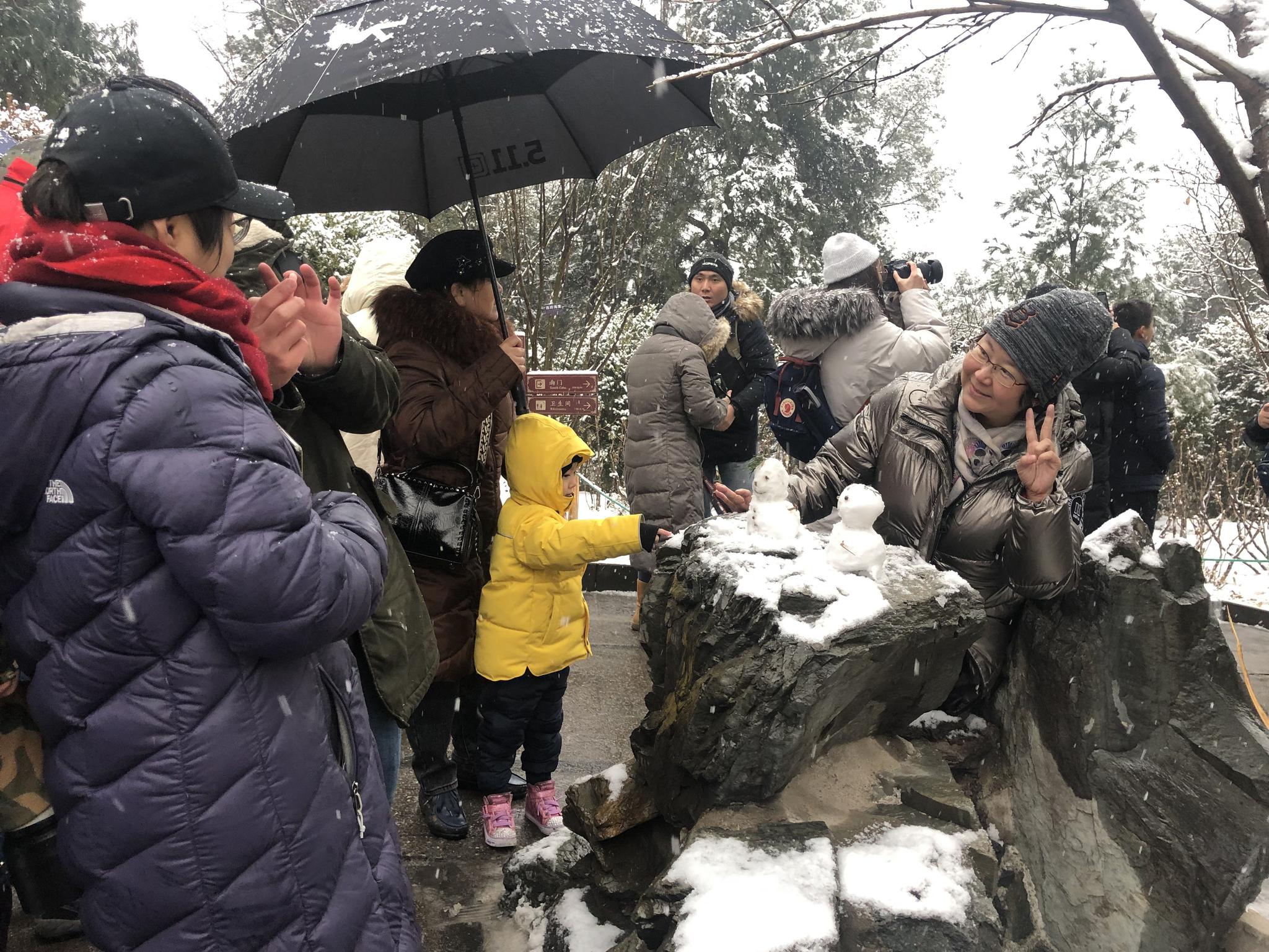 雪落京城景山公园成热门打卡地 有人摸黑来等开