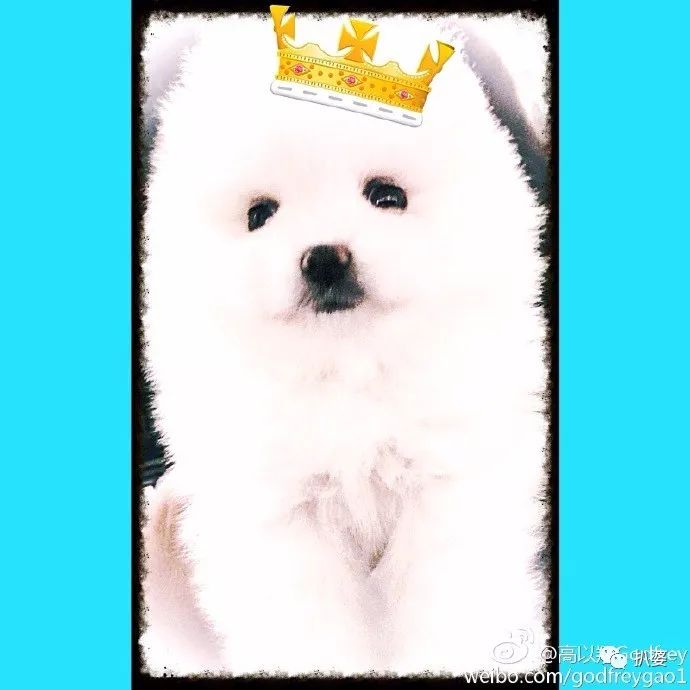 高以翔，再见不等于遗忘。