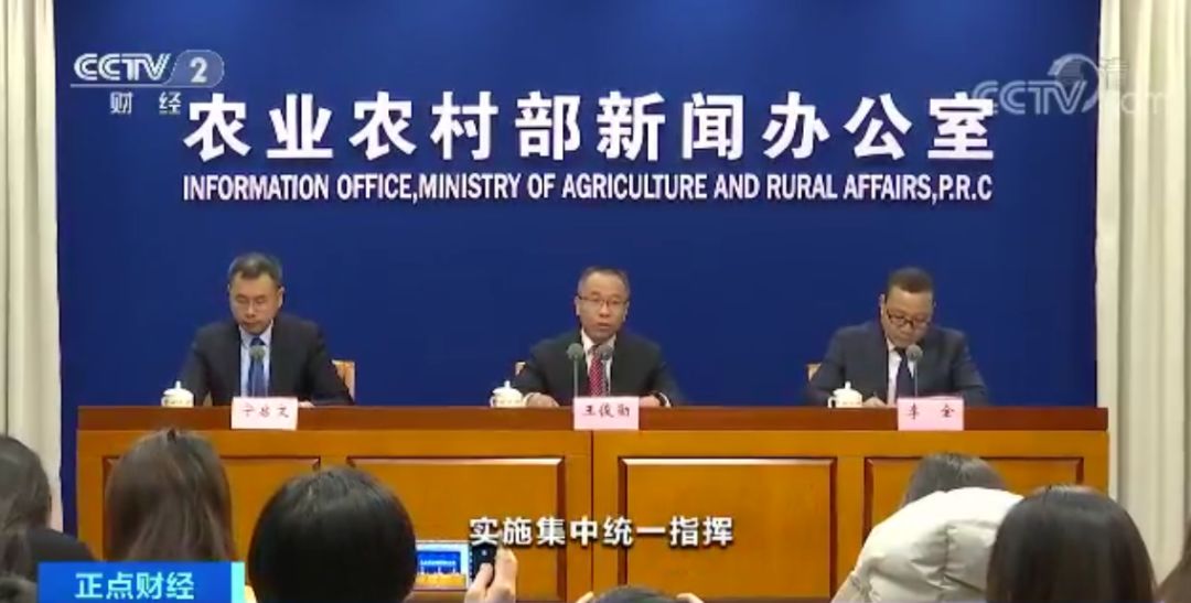 “炒猪团”投放死猪诱使恐慌性抛售牟利 国家出