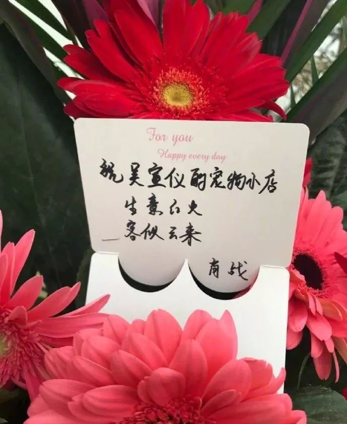 今日奇娱丨林更新新恋情曝光？陈立农回应被朱丹叫错名字