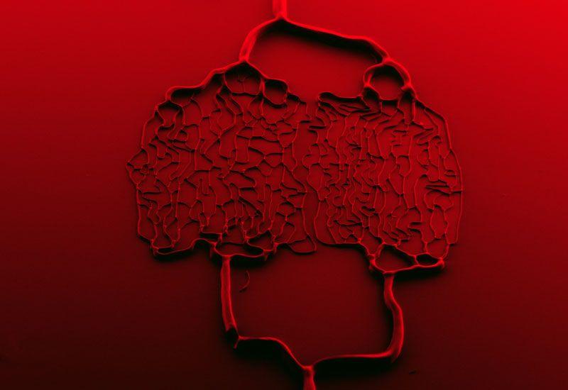 《自然》杂志评2019最佳科学图片 中国采蜂人在列