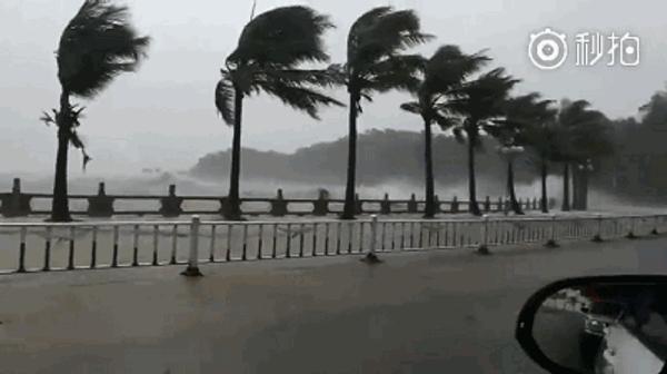 回家的温度有多暖?澳门气象20年给你答案