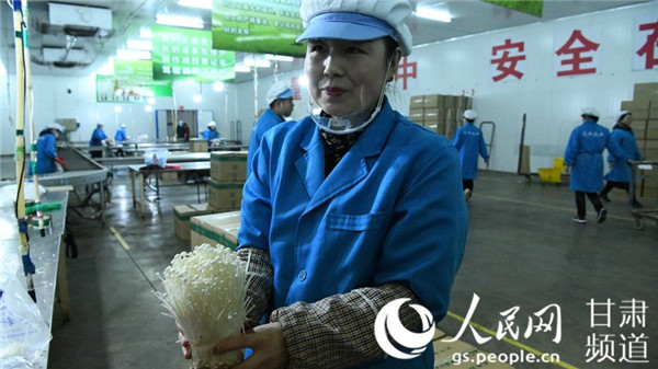 一撇一捺看发展：12省16城100企 揭秘中国高质量发