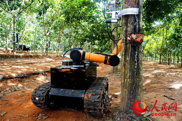 一撇一捺看发展：12省16城100企 揭秘中国高质量发