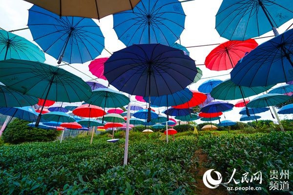 一撇一捺看发展：12省16城100企 揭秘中国高质量发