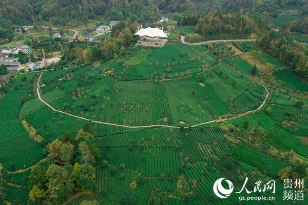 一撇一捺看发展：12省16城100企 揭秘中国高质量发