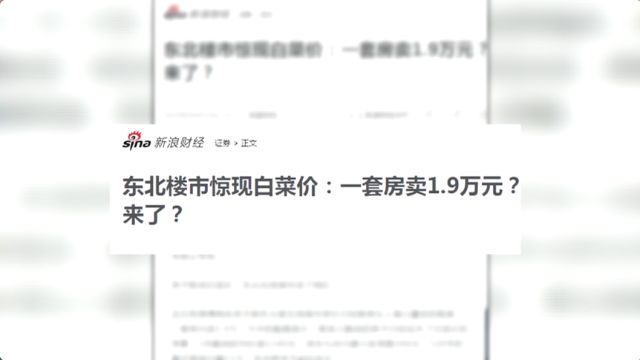 鹤岗1.9万一套房？他揣着2万跨越3780公里去买房