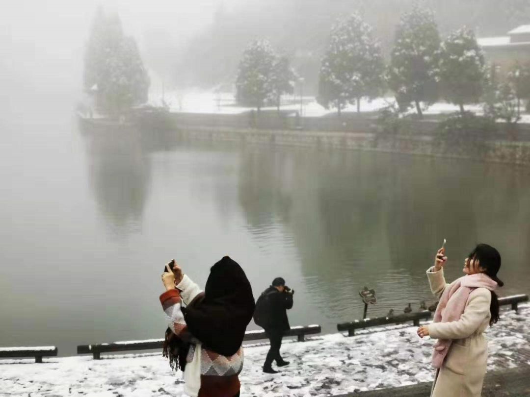 盛开的腊梅在白雪的映衬下更加娇媚,构成了一道别样的风景。
