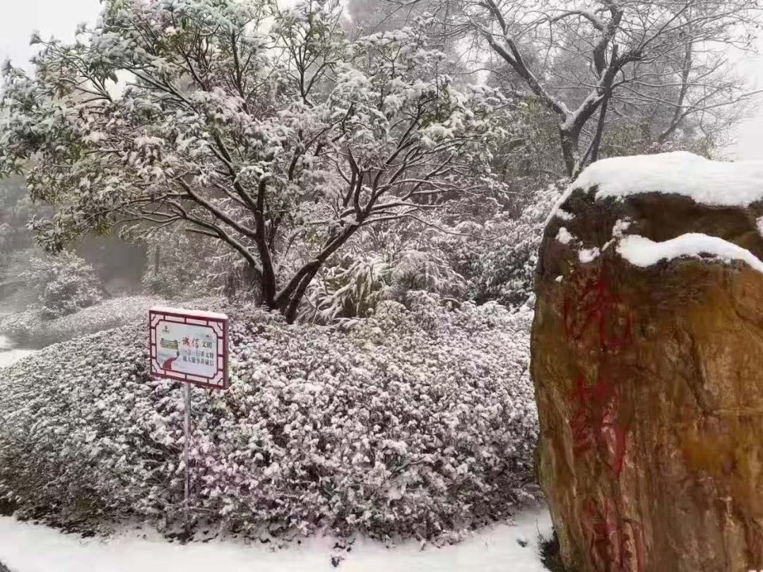 位于南昌湾里区梅岭的洗药湖山庄因为下雪,成了“网红”