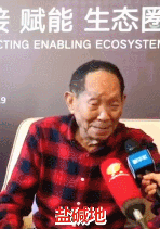 提到我国杂交水稻 袁隆平连说4个“奇迹”