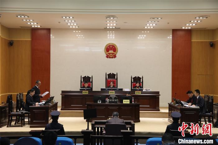 图为庭审现场。 贾贞妮 摄