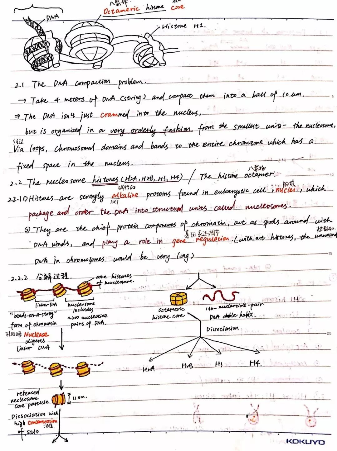 △赵庄颜 动物科学学院