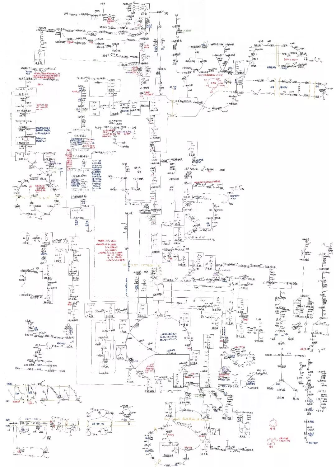 △林臣峰 生命科学学院