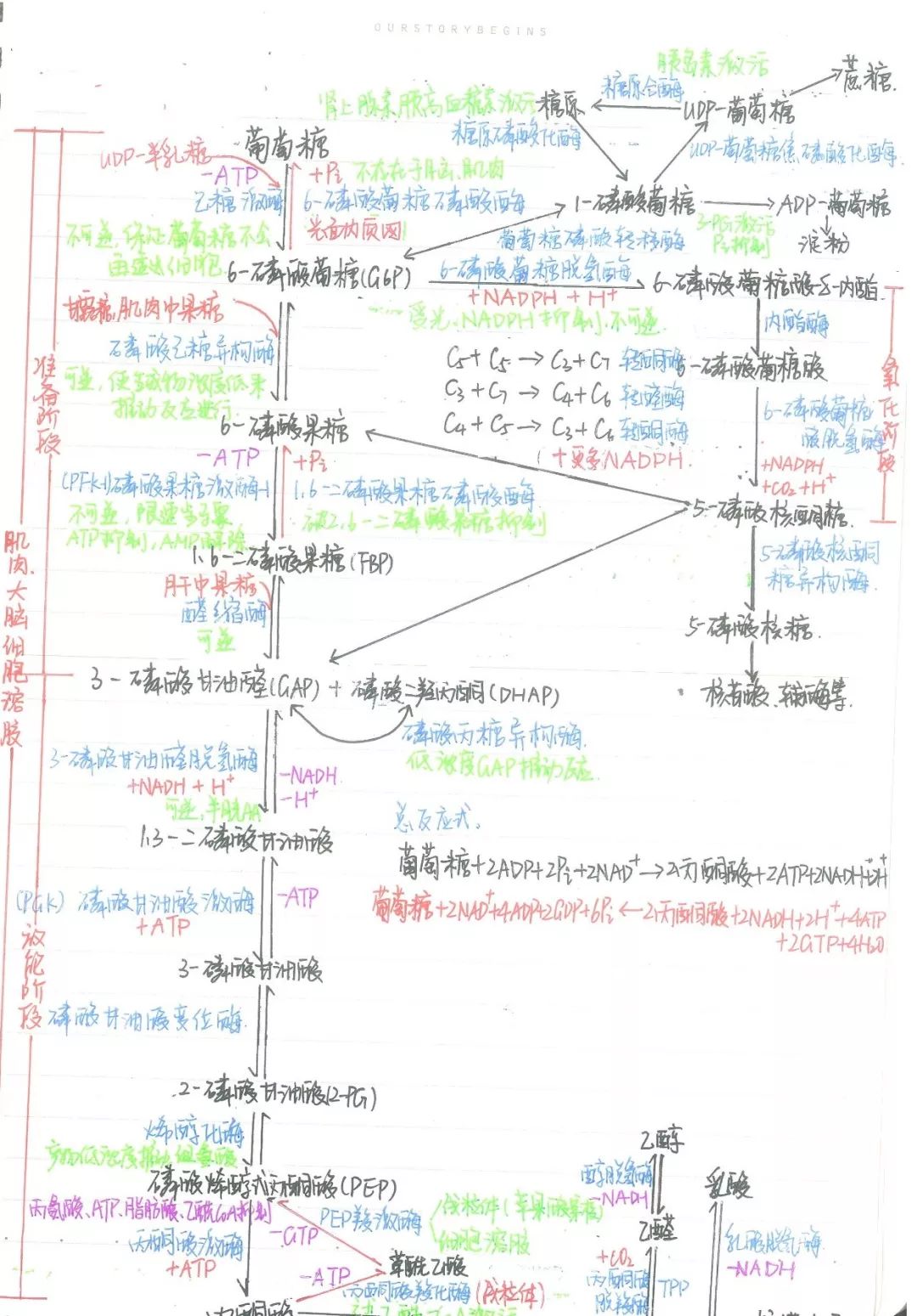△陈一清 生命科学学院