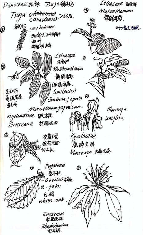 △廖人玉 农业与生物技术学院