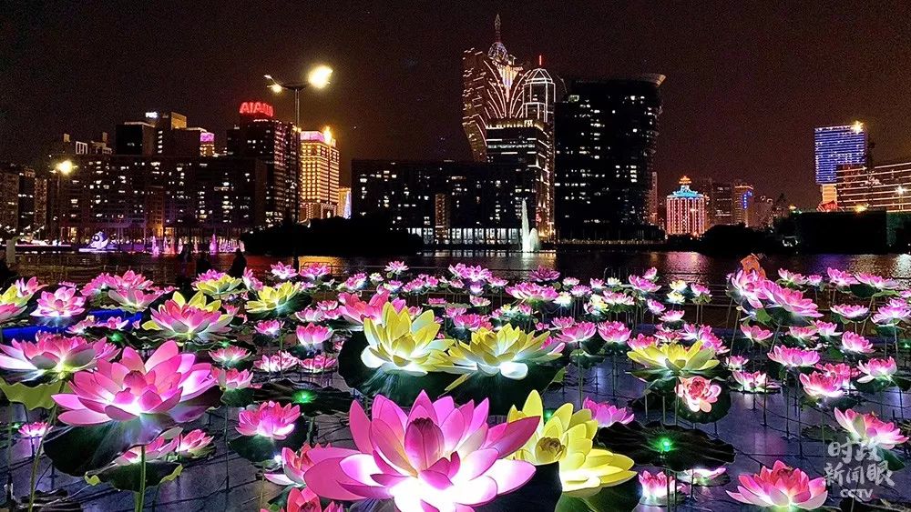 △熠熠生辉的莲花灯饰,庆祝澳门回归祖国20周年。(央视记者黄惠馨拍摄)