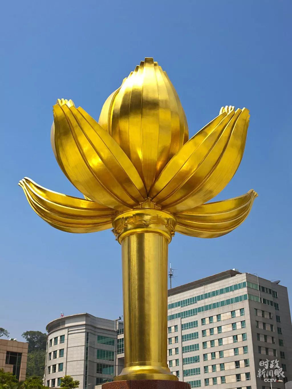 △金莲花广场上的这朵“盛世莲花”,已经陪伴澳门人民20年。(资料图)