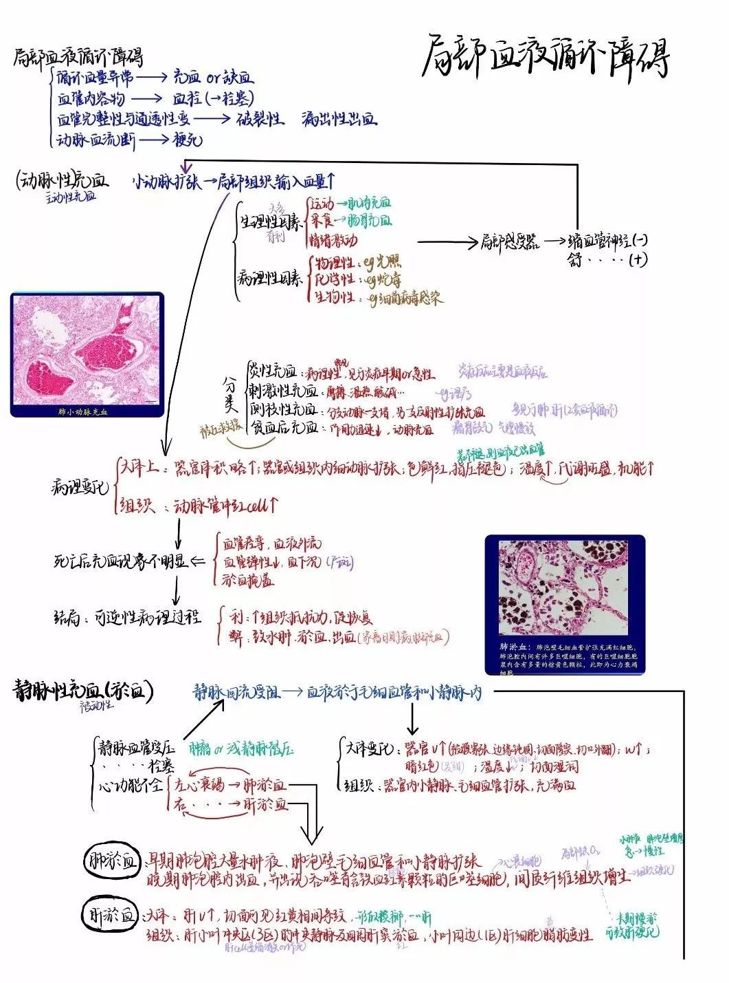 △王昕茹 动物科学学院