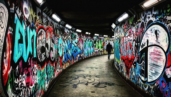  图片来源：Unsplash