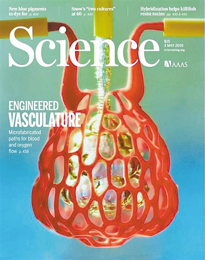 图④ 《科学》杂志封面刊登了由水凝胶3D打印而成的肺气囊模型。