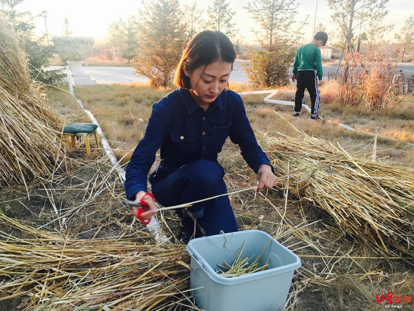  ↑杨丽丽回乡创业
