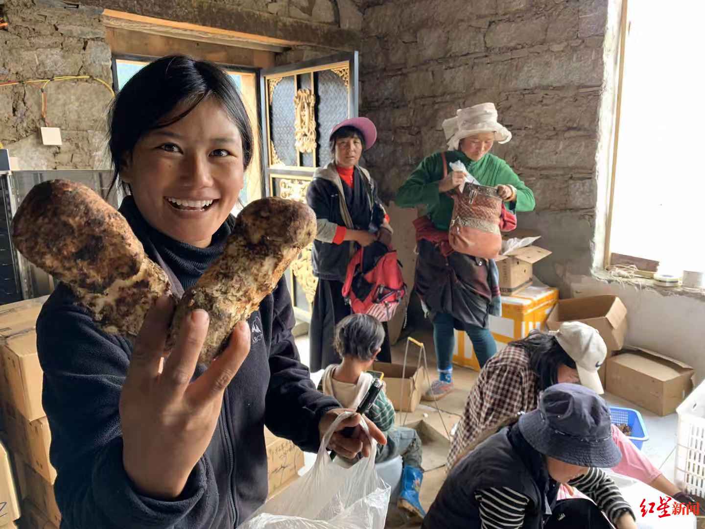  ↑卓姆通过短视频推广出售家乡的松茸等农产品