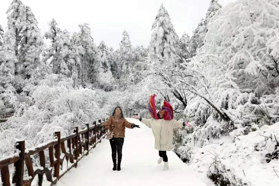 抖音火爆的网红雪景，德阳出发2.5h，居然藏着亚洲第二大的桌山，徒步耍雪泡温泉！