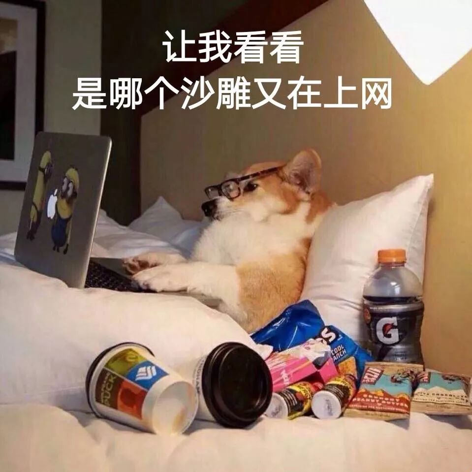 大家今天别工作了，都去朋友圈收表情包得了！