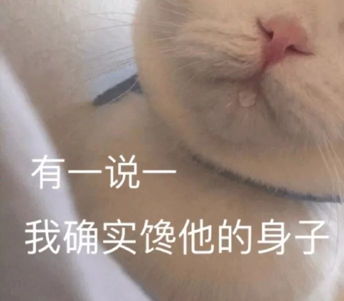 大家今天别工作了，都去朋友圈收表情包得了！