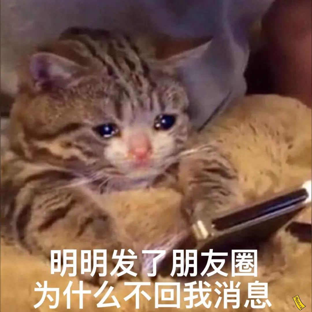 大家今天别工作了，都去朋友圈收表情包得了！