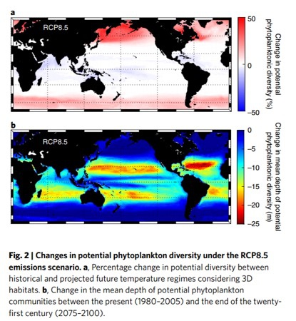 RCP8.5排放情景下潜在浮游植物多样性的变化