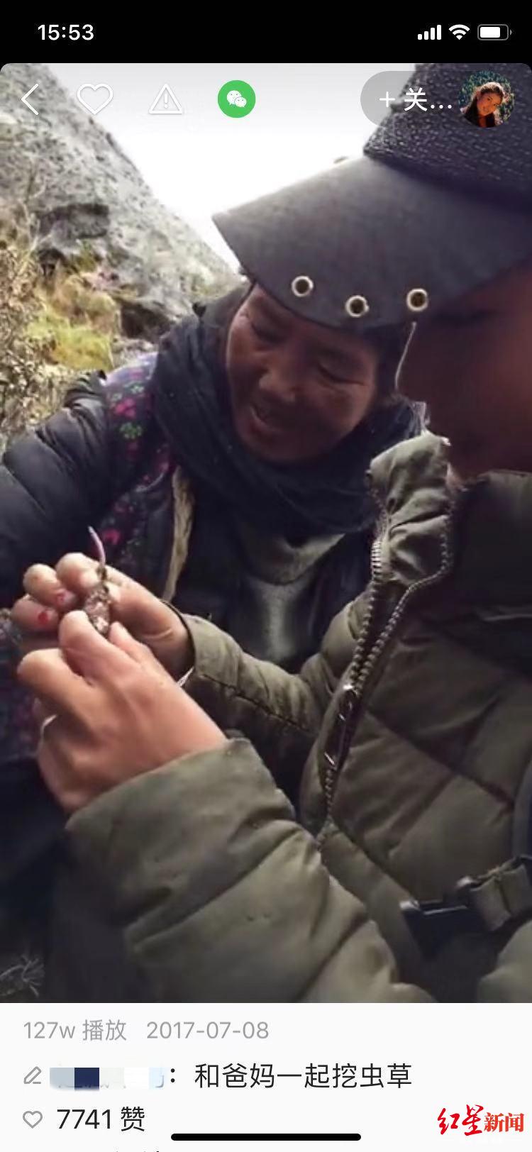  ↑卓姆挖虫草短视频（据视频截图）