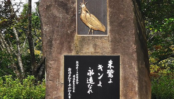  朱鹮保护中心内纪念“阿金”的雕塑 拍摄：田思奇