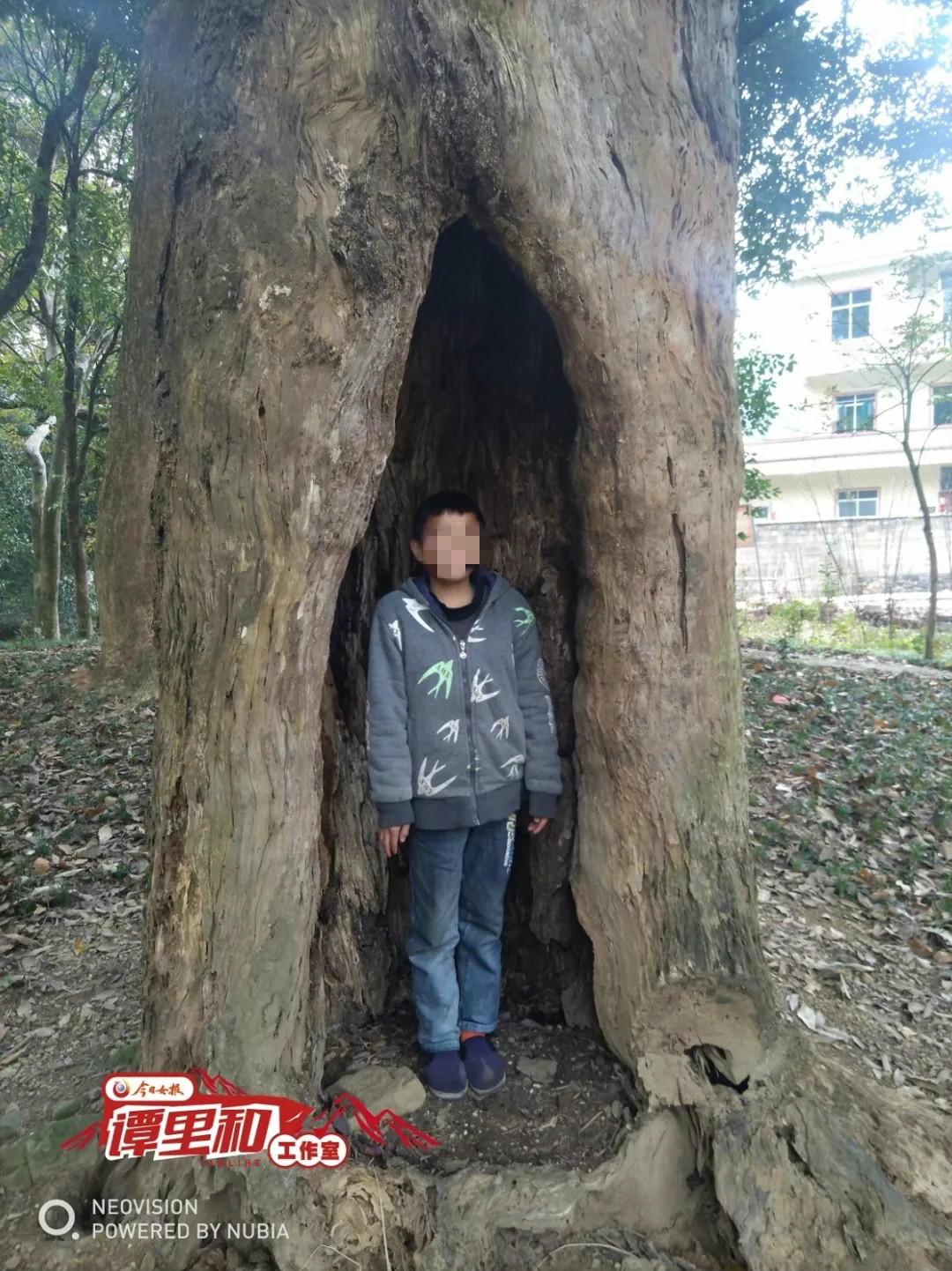  这张帮扶人廖书军走访时拍下的照片，春英秀气且腼腆。