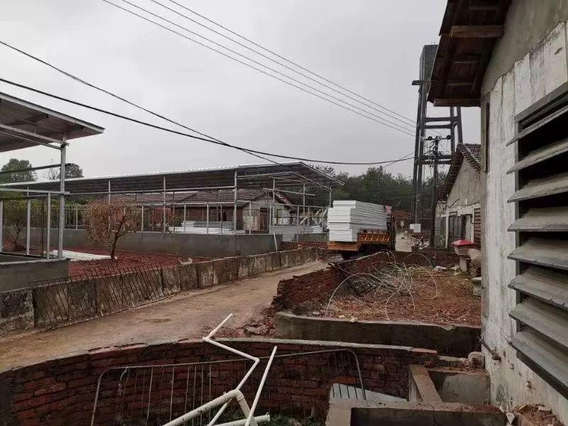 啥叫动力煤 2924-imfiehp9902389.jpg