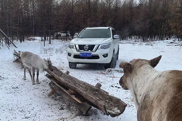 真国六硬派越野SUV！东风日产途达穿越极寒之境