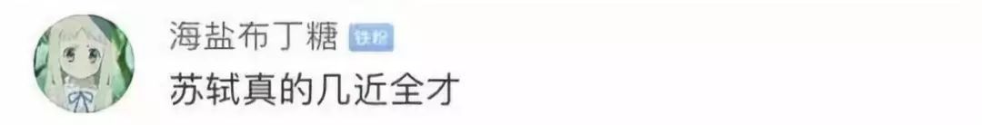 苏轼入选历史治水名人 网友:因为《水调歌头》