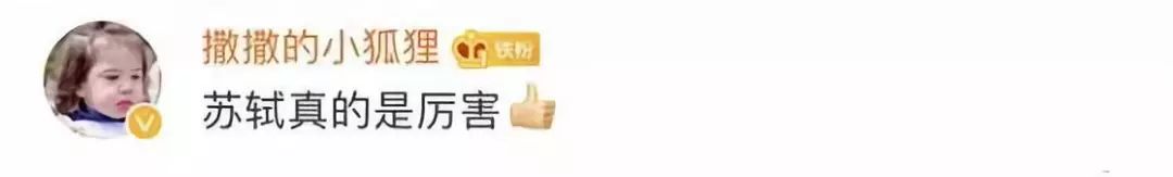 苏轼入选历史治水名人 网友:因为《水调歌头》