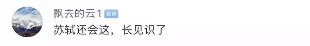 苏轼入选历史治水名人 网友:因为《水调歌头》