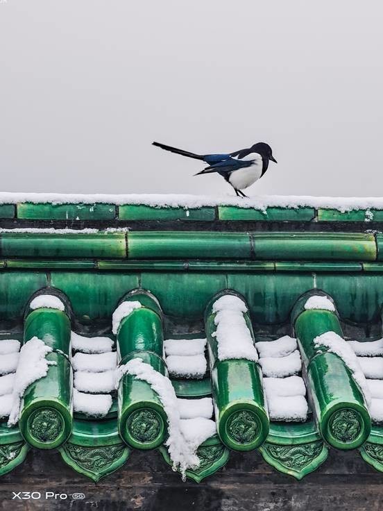 用vivo X30 Pro手机的长焦镜头带你看雪后的天坛