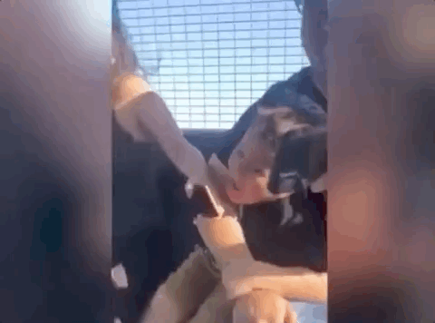 美国美女乘摩天轮惨叫连连,惊成表情包,自称是被骗上去的