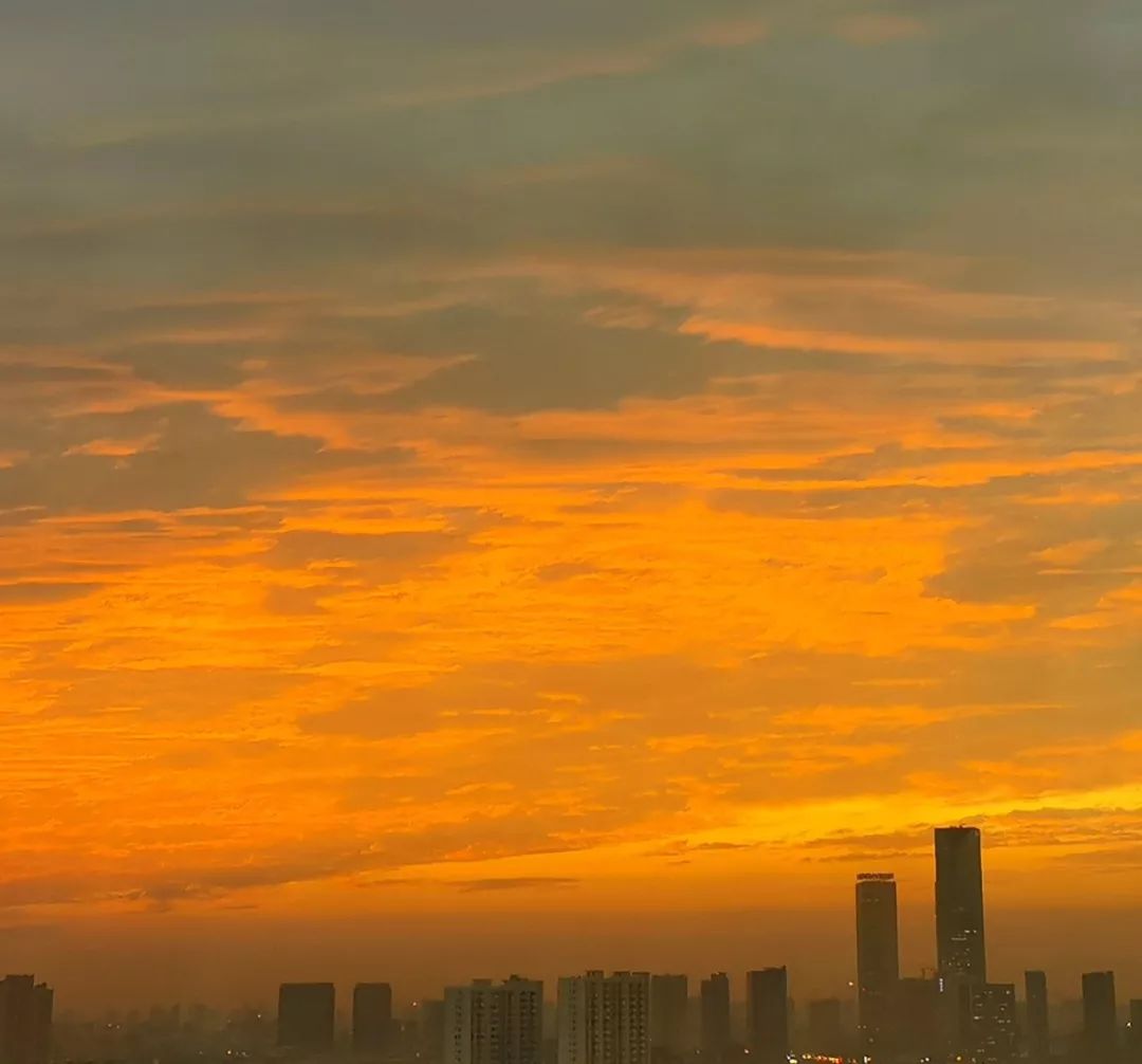 新京报:106个人和他们的2019