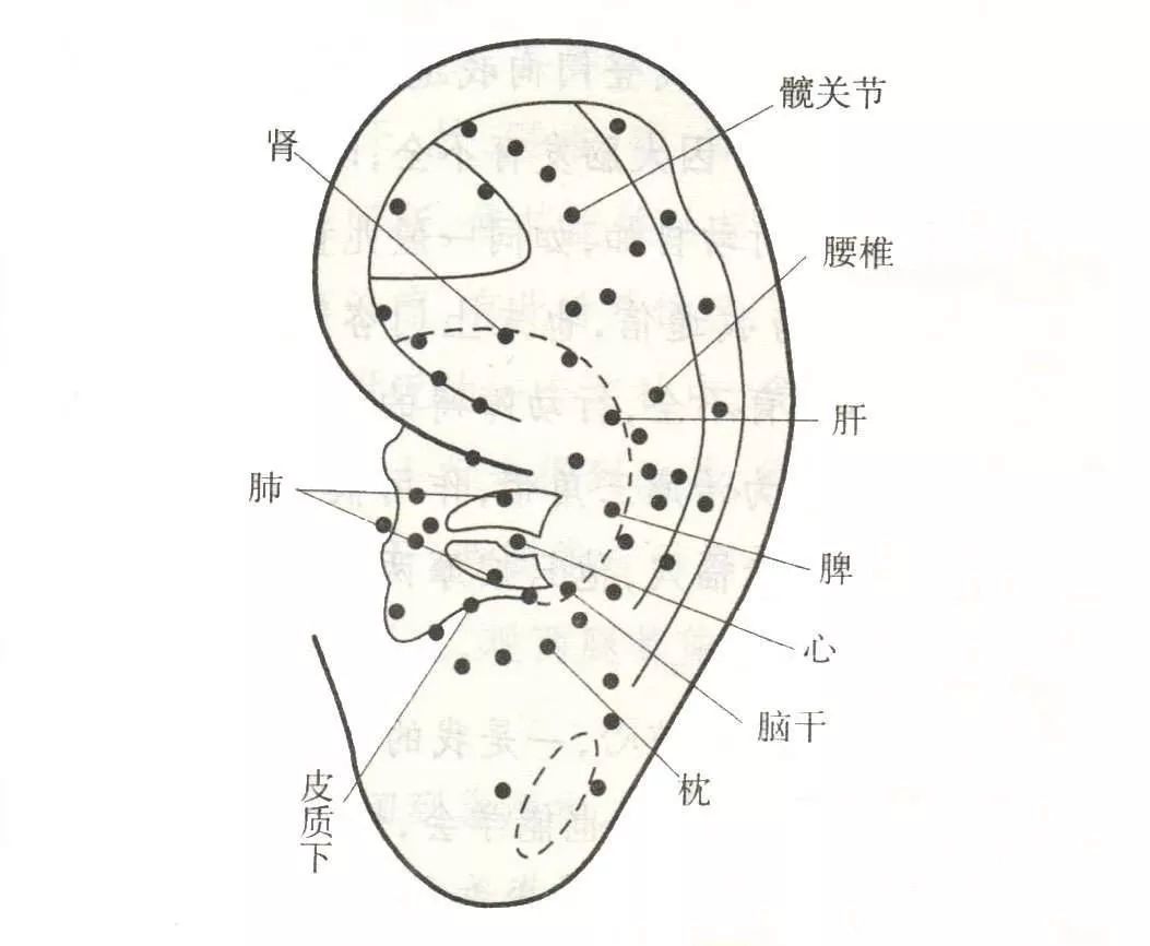 不花钱也能固肾补肾的方法都在这里了