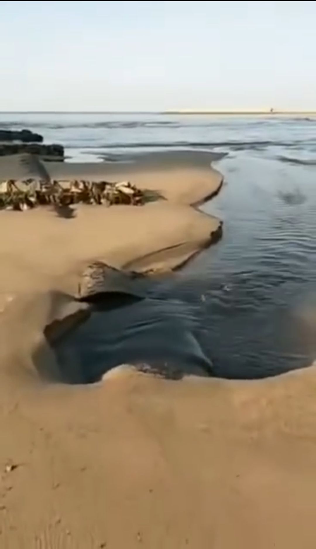 黑色污水流入大海。 视频截图