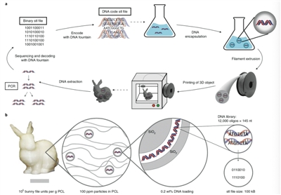 图① 用“万物DNA”特殊材料3D打印的兔子