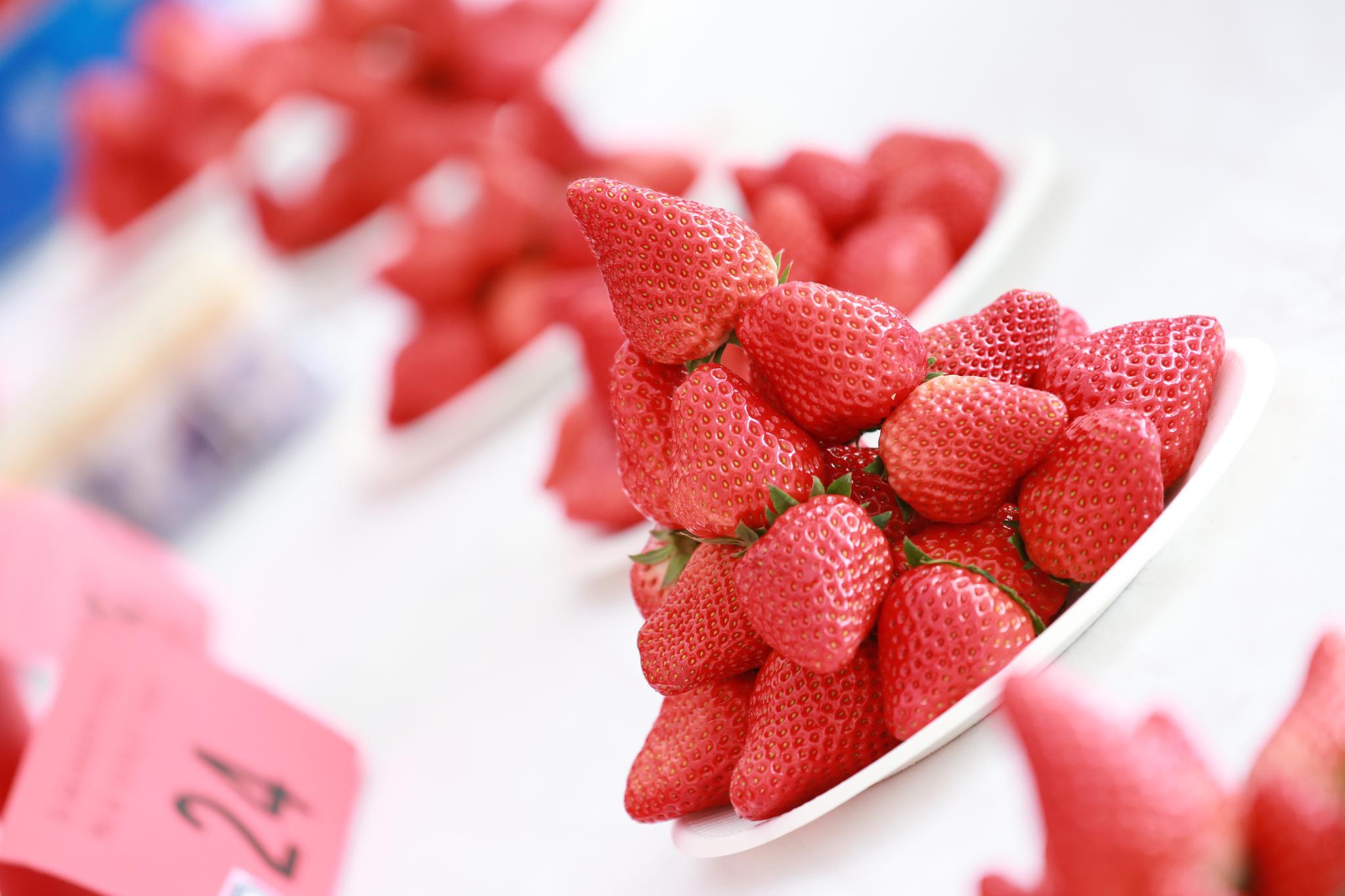 第七届“北京草莓之星”评选暨第二届昌平草莓节活动在昌平举办 京郊优质草莓迎采收旺季-华商经济网