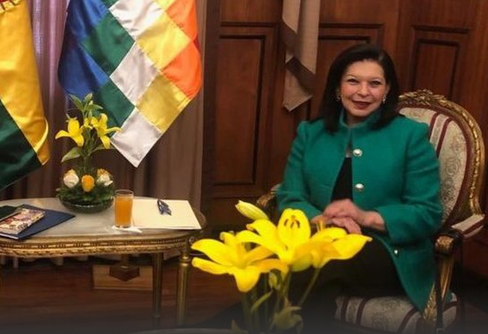  △墨西哥驻玻利维亚大使 玛利亚·特蕾莎·迈尔卡多（图片来源：墨西哥MILENIO新闻网）