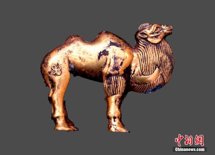资料图:图为出土的金骆驼。秦始天子陵博物院 供图